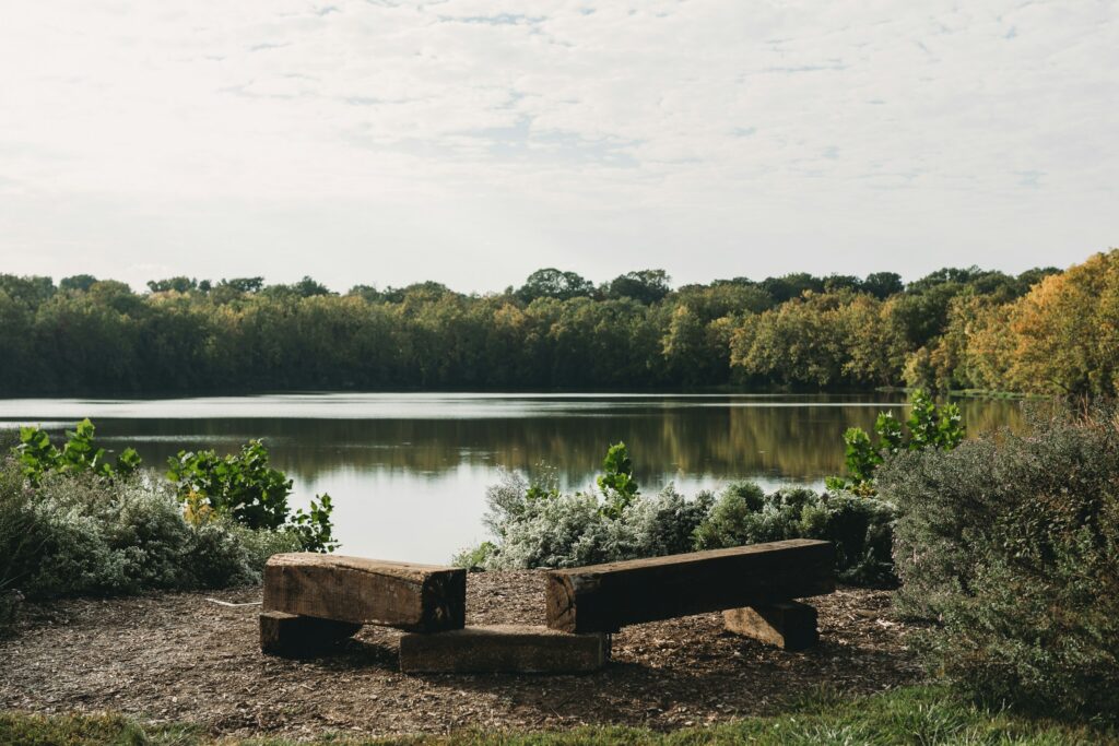 Park bench overlooking river.